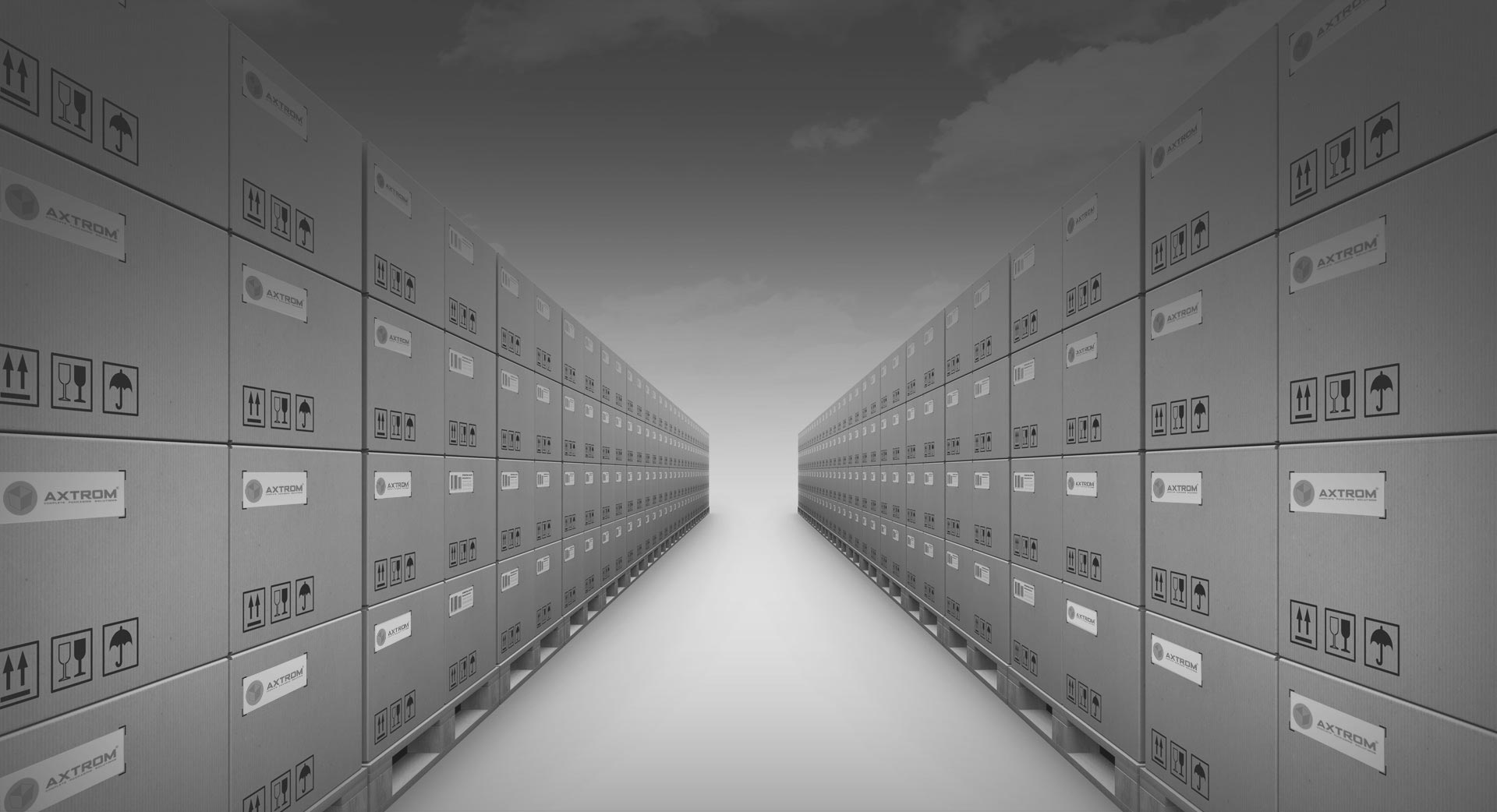 Complete packaging solutions. Produse din polietilenă, PEE.